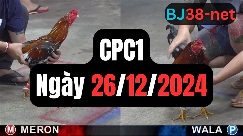 Xem đá gà thomo sảnh gà CPC1 ngày 26-12-2024