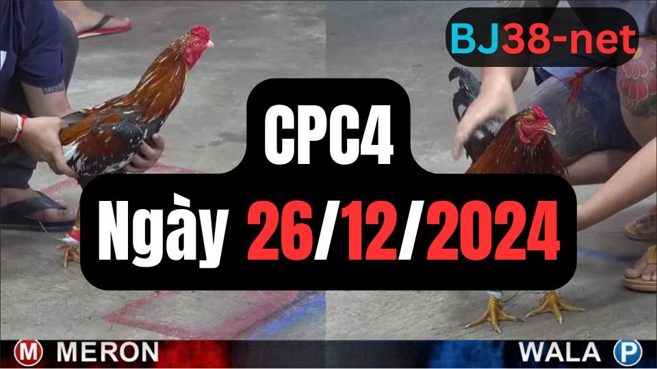 Xem đá gà thomo sảnh gà CPC4 ngày 26-12-2024